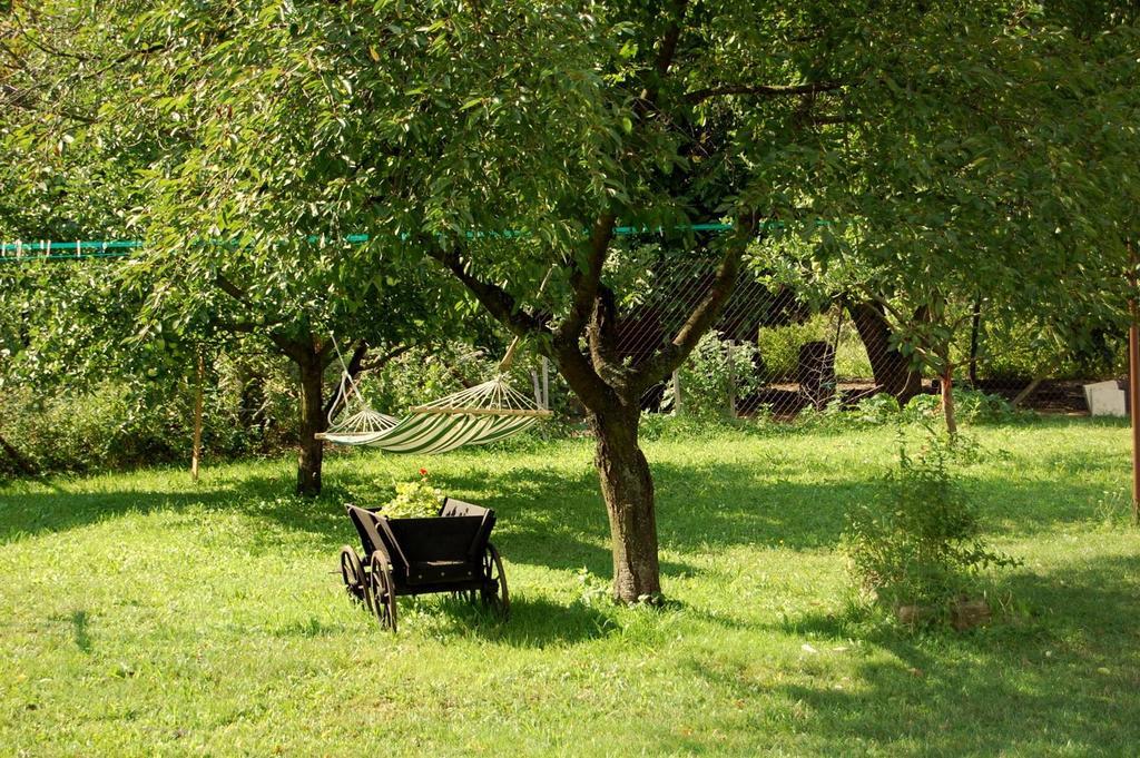 Kozí Farma U Nýdrlů Vila Stara Cervena Voda Exterior foto