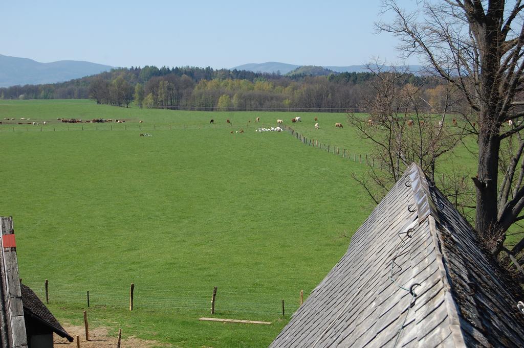 Kozí Farma U Nýdrlů Vila Stara Cervena Voda Exterior foto