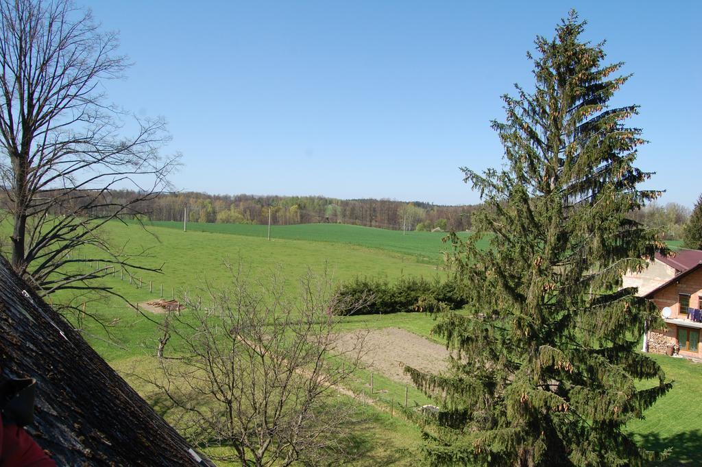 Kozí Farma U Nýdrlů Vila Stara Cervena Voda Exterior foto